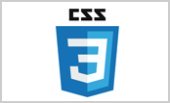 CSS 3 Logo