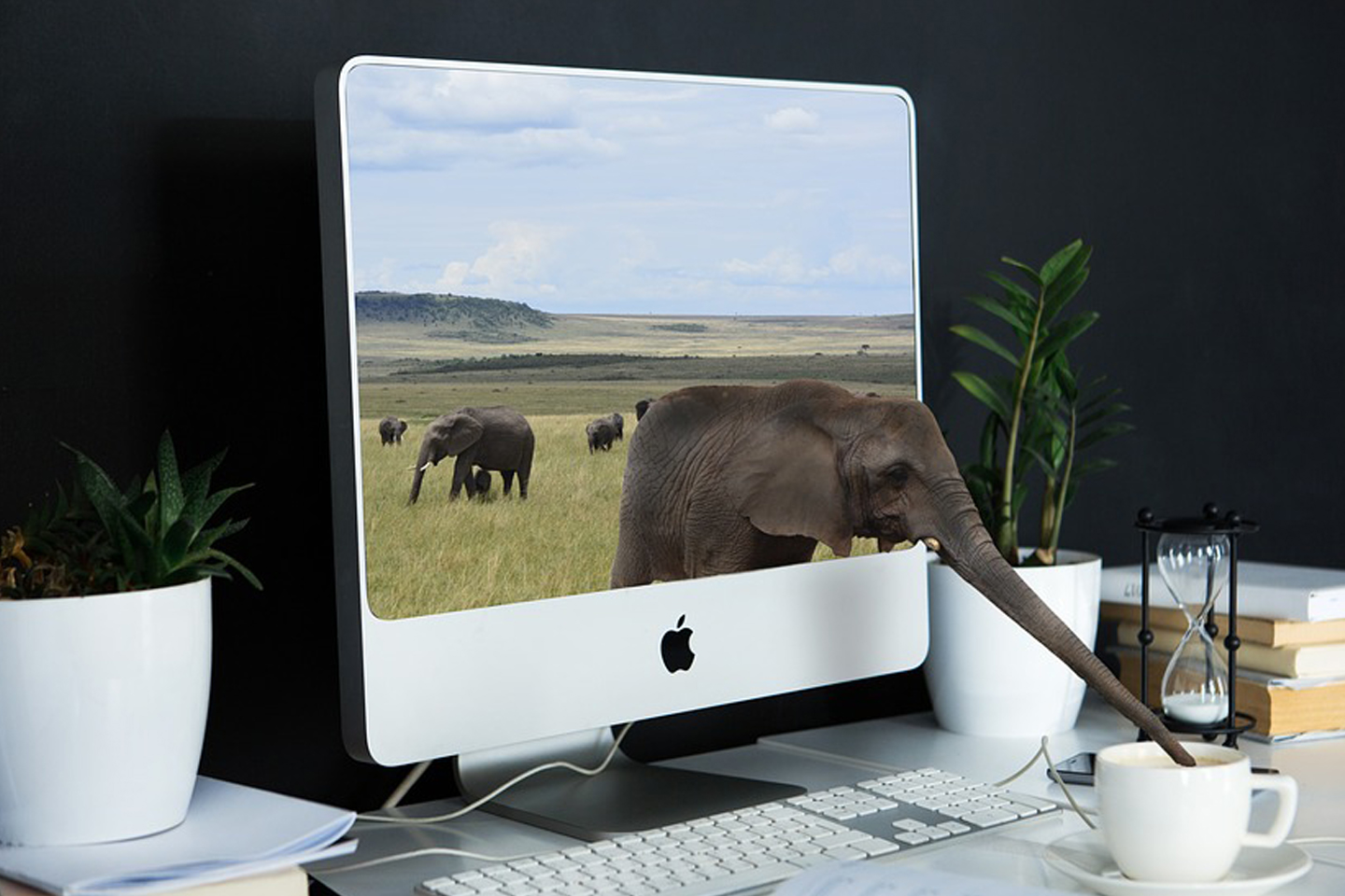 Web Development Hong Kong